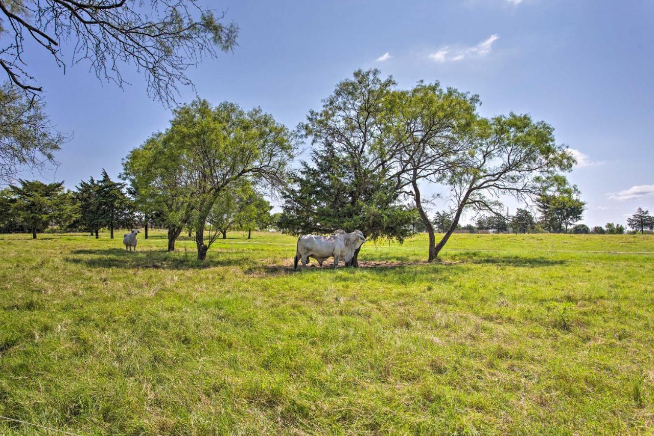 Texas Cabin On 130 Acres Walk To Lake Ray Roberts Collinsville Exterior foto